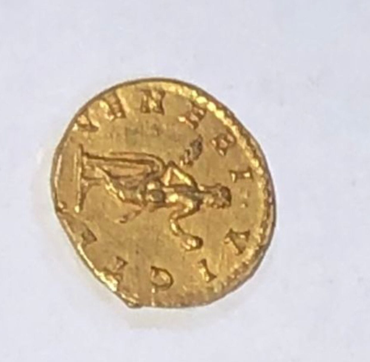 312715505_532769192226839_2310304330412328527_n