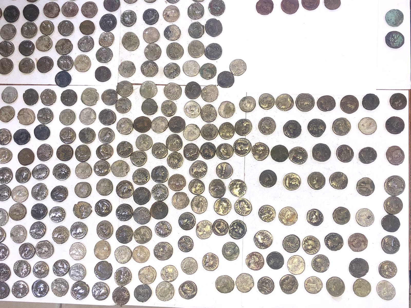 311579856_532768618893563_4314388850836800602_n