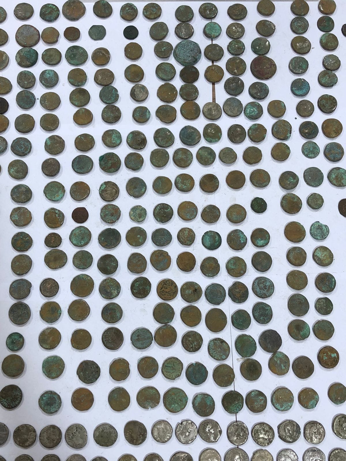 311469006_532768435560248_1286772098133875336_n