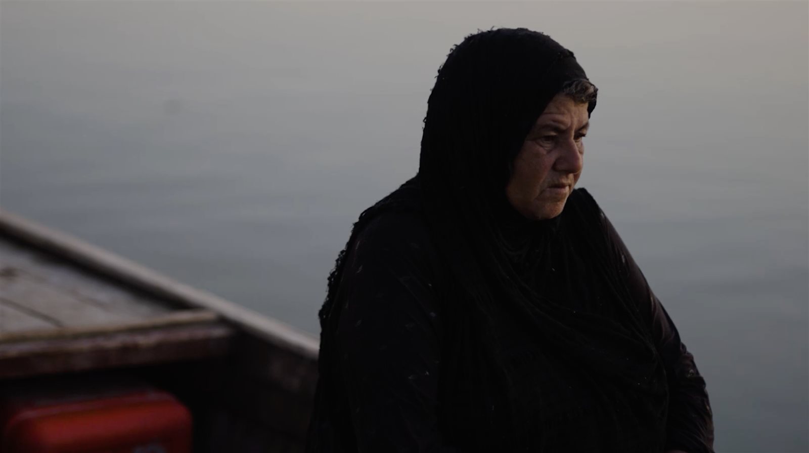 SHE WAS NOT ALONE  BY HUSSEIN AL-ASADI