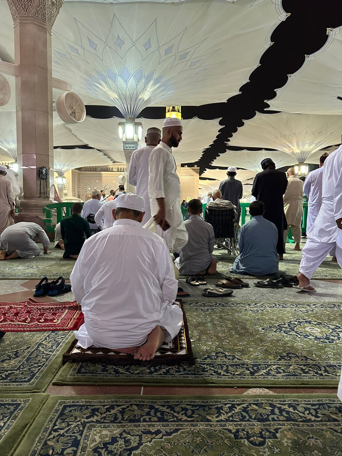 260171-شيخ-الأزهر-بالمسجد-النبوى