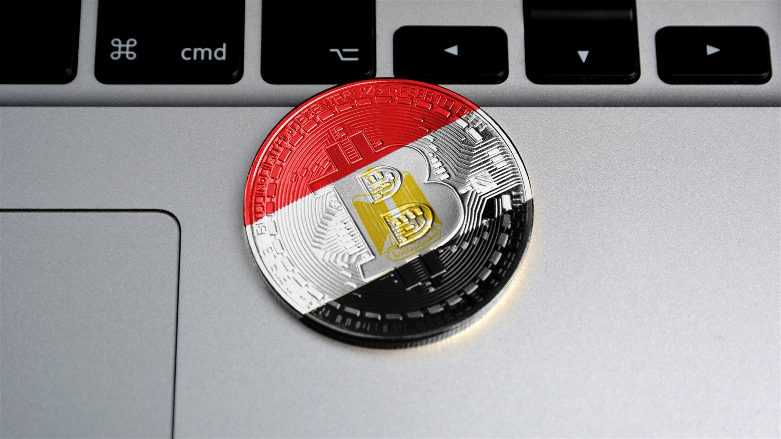 عاجل الجنيه الإلكتروني.. توقعات بطرح البنك المركزي العملة الرقمية بحلول 2030