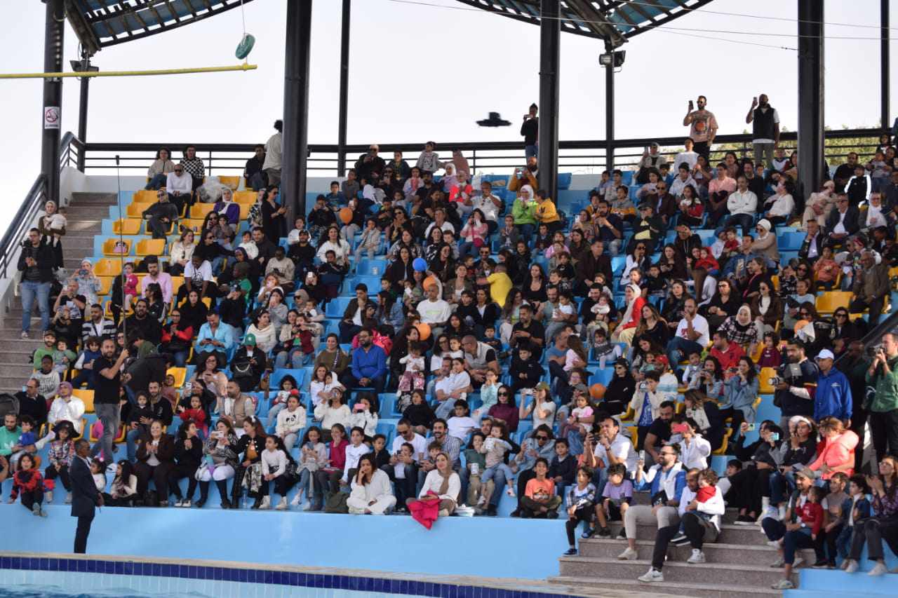 418685619_419167923904794_5555630954597801993_n