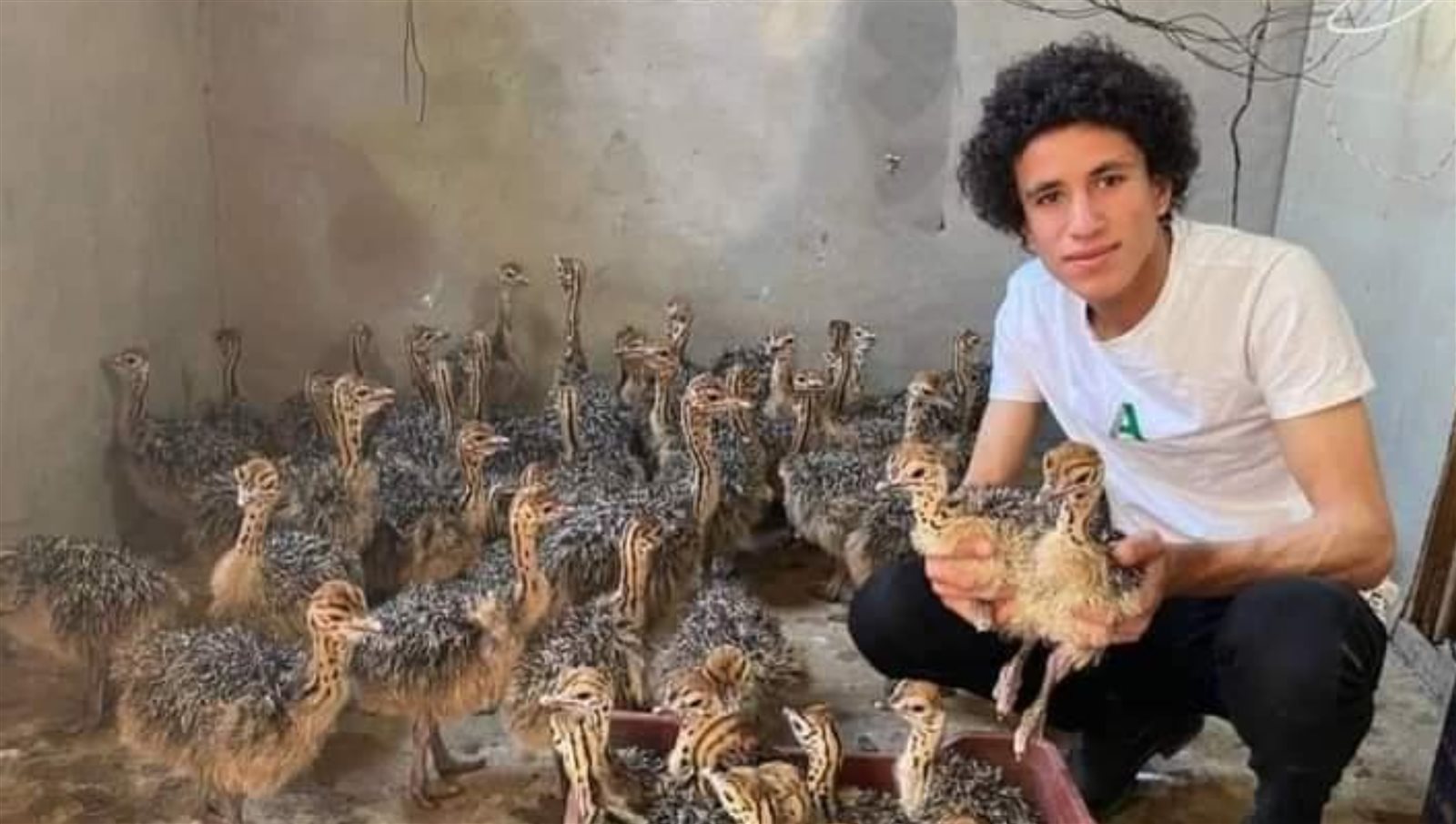 تفاصيل وفاة الشاب يوسف عدلي أصغر مربي نعام في مصر