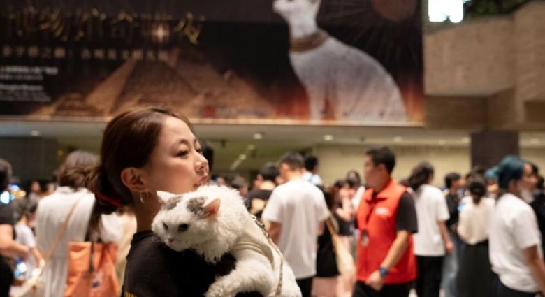 إثارة وتشويق في ليلة مع القطط المصرية القديمة بمتحف شنجهاي.. ما القصة؟