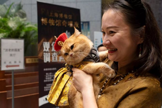 إثارة وتشويق في ليلة مع القطط المصرية القديمة بمتحف شنجهاي.. ما القصة؟