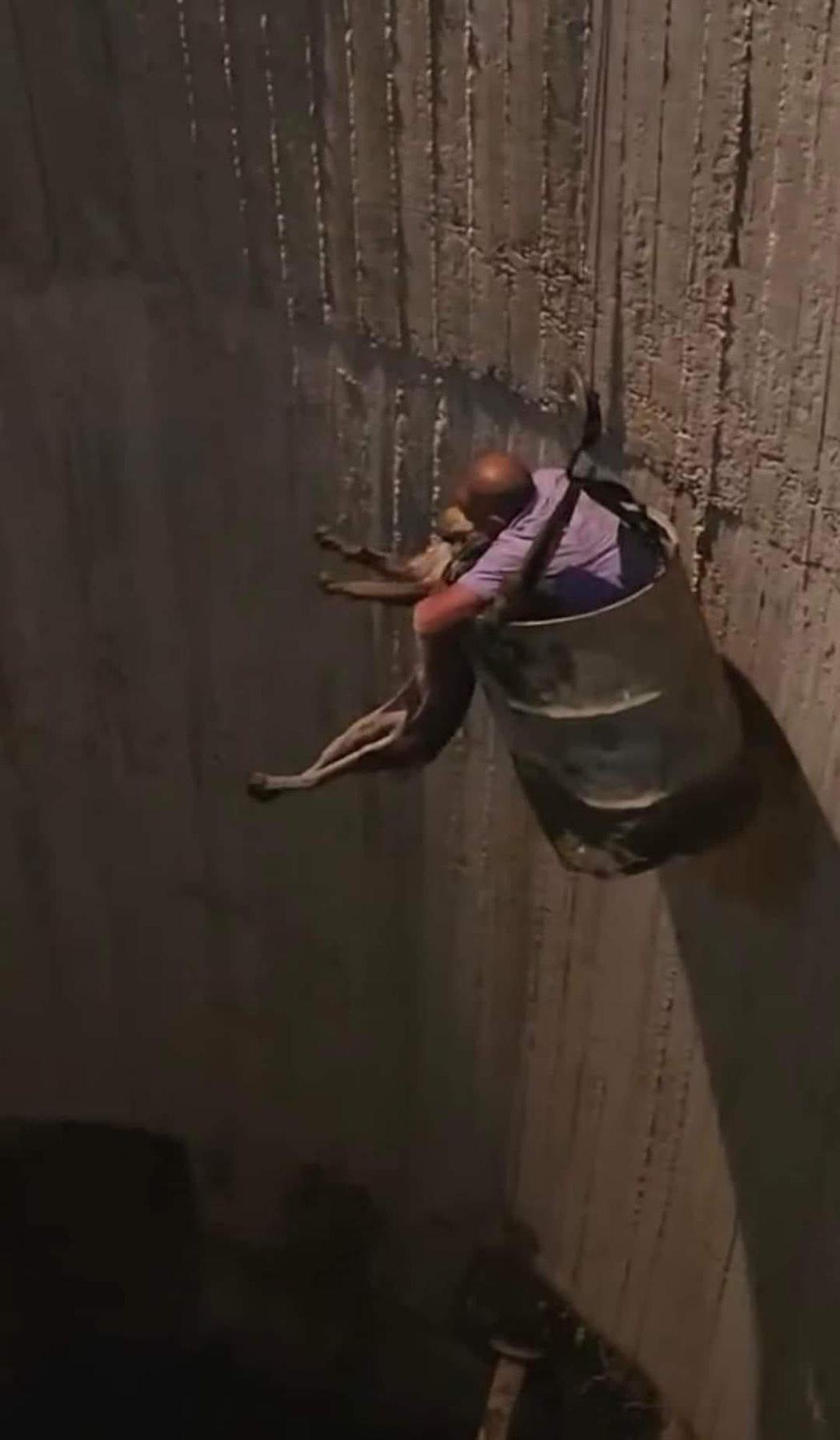 خاص منقذ كلب حلوان: نزلت ببرميل في بئر عمقه 20 مترا من أجله.. وعالجناه