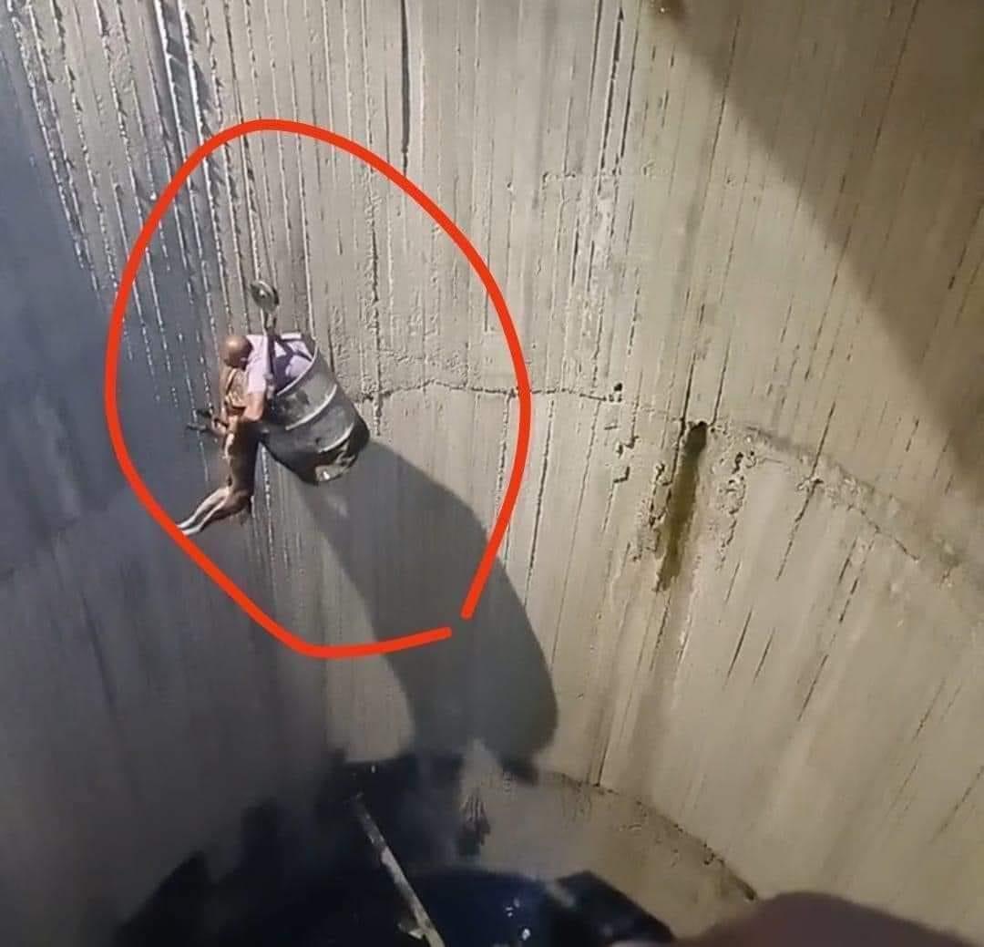 خاص منقذ كلب حلوان: نزلت ببرميل في بئر عمقه 20 مترا من أجله.. وعالجناه