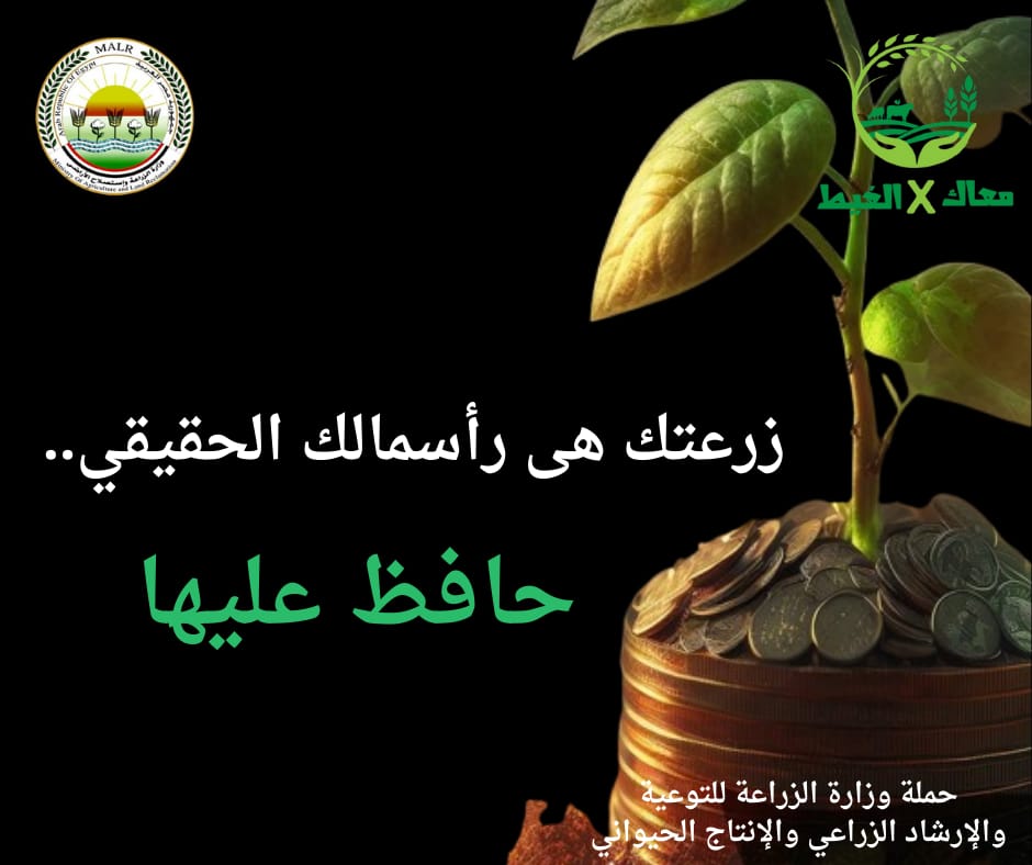 الزراعة تطلق حملة معاك في الغيط للتوعية بالحفاظ على الأرض الزراعية