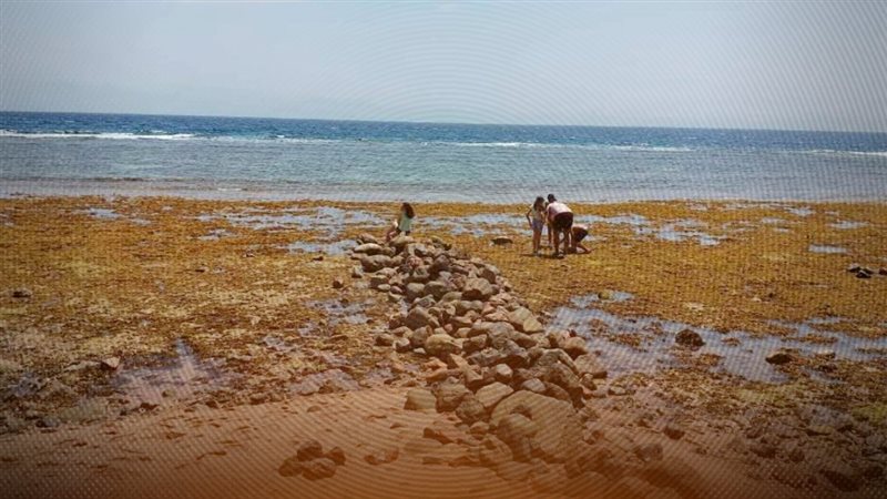 انحسار المياه في دهب