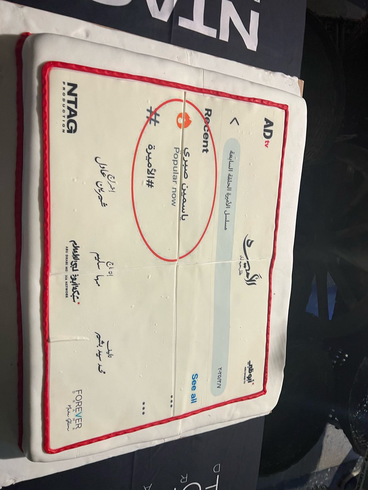 أبطال مسلسل الأميرة ظل حيطه يحتفلون بانتهاء تصويره