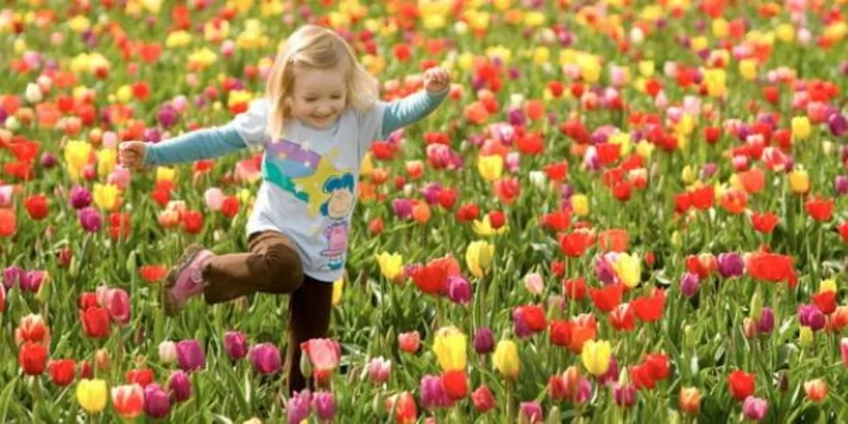 بداية فصل الربيع 2025.. تفاصيل حالة الطقس الأيام المقبلة