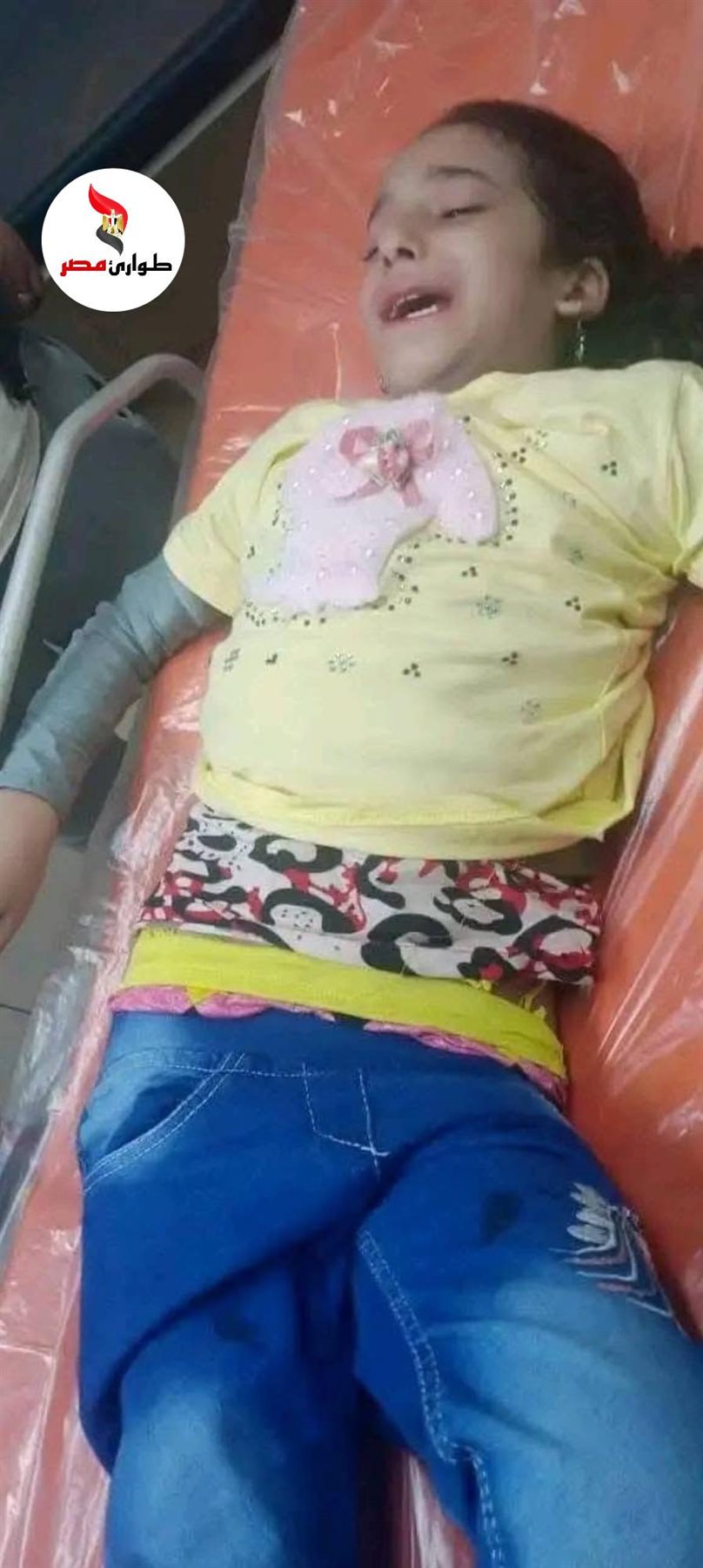 حادث أم تلقي أطفالها من أعلى كوبري العامرية غرب الإسكندرية..التفاصيل الكاملة