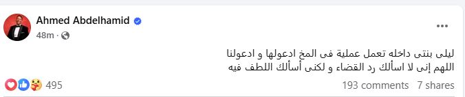 الفنان أحمد عبد الحميد