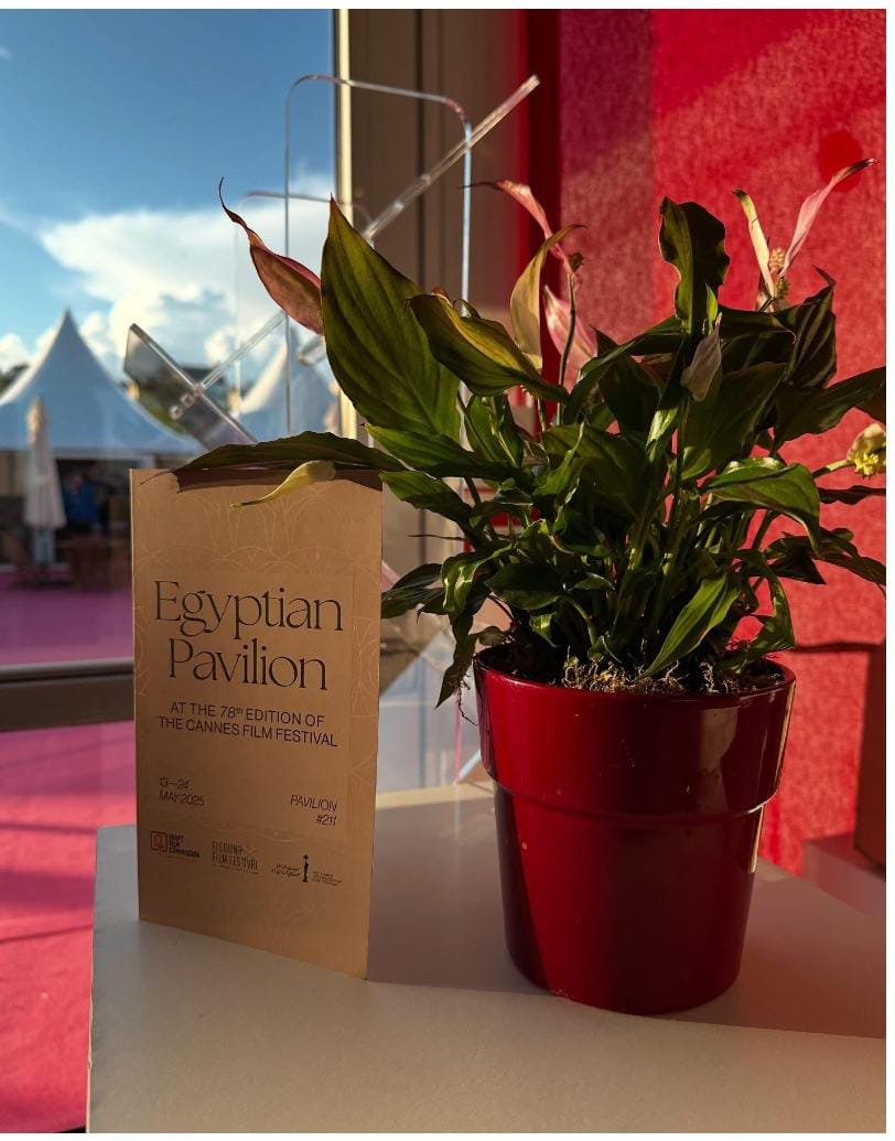 الجناح المصري يستضيف جلسة نقاشية حول فرص التصوير في مهرجان كان السينمائي