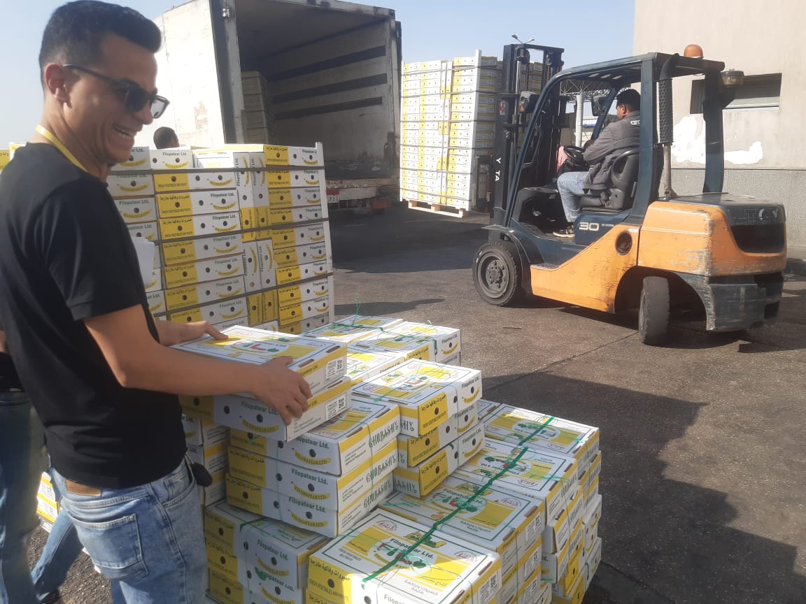 الزراعة: استمرار تصدير شحنات الخضر والفاكهة من ميناء القاهرة.. وفحص قمح أمريكي بـ الأدبية