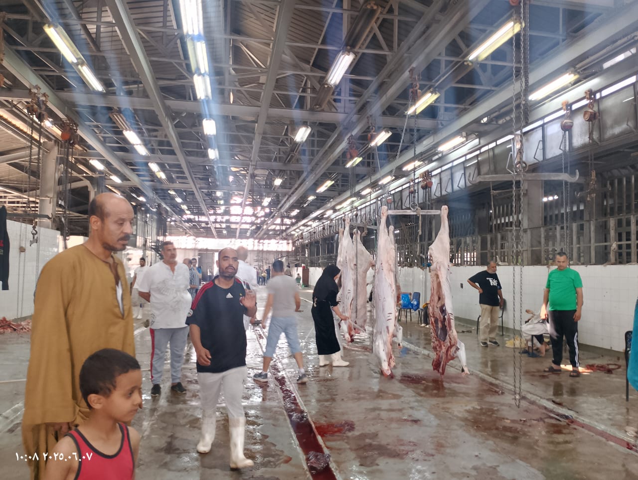 الزراعة: ذبح أكثر من 20 ألف أضحية بالمجازر خلال أول يومين لعيد الأضحى