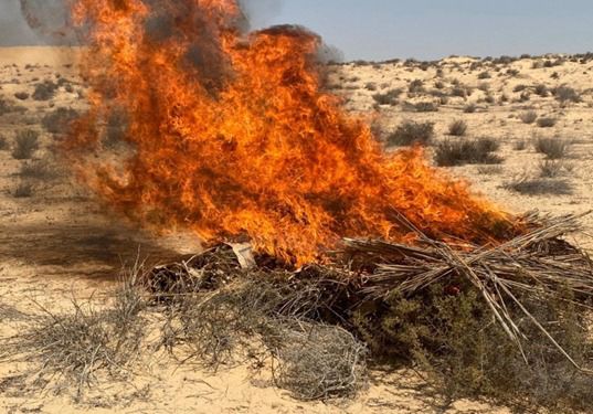 بـ795 مليون جنيه.. ضبط كميات كبيرة من المواد المخدرة بالإسماعيلية