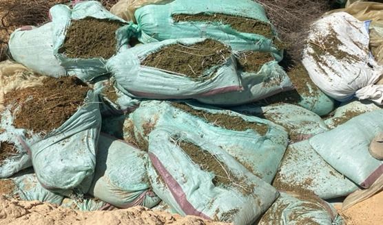 بـ795 مليون جنيه.. ضبط كميات كبيرة من المواد المخدرة بالإسماعيلية