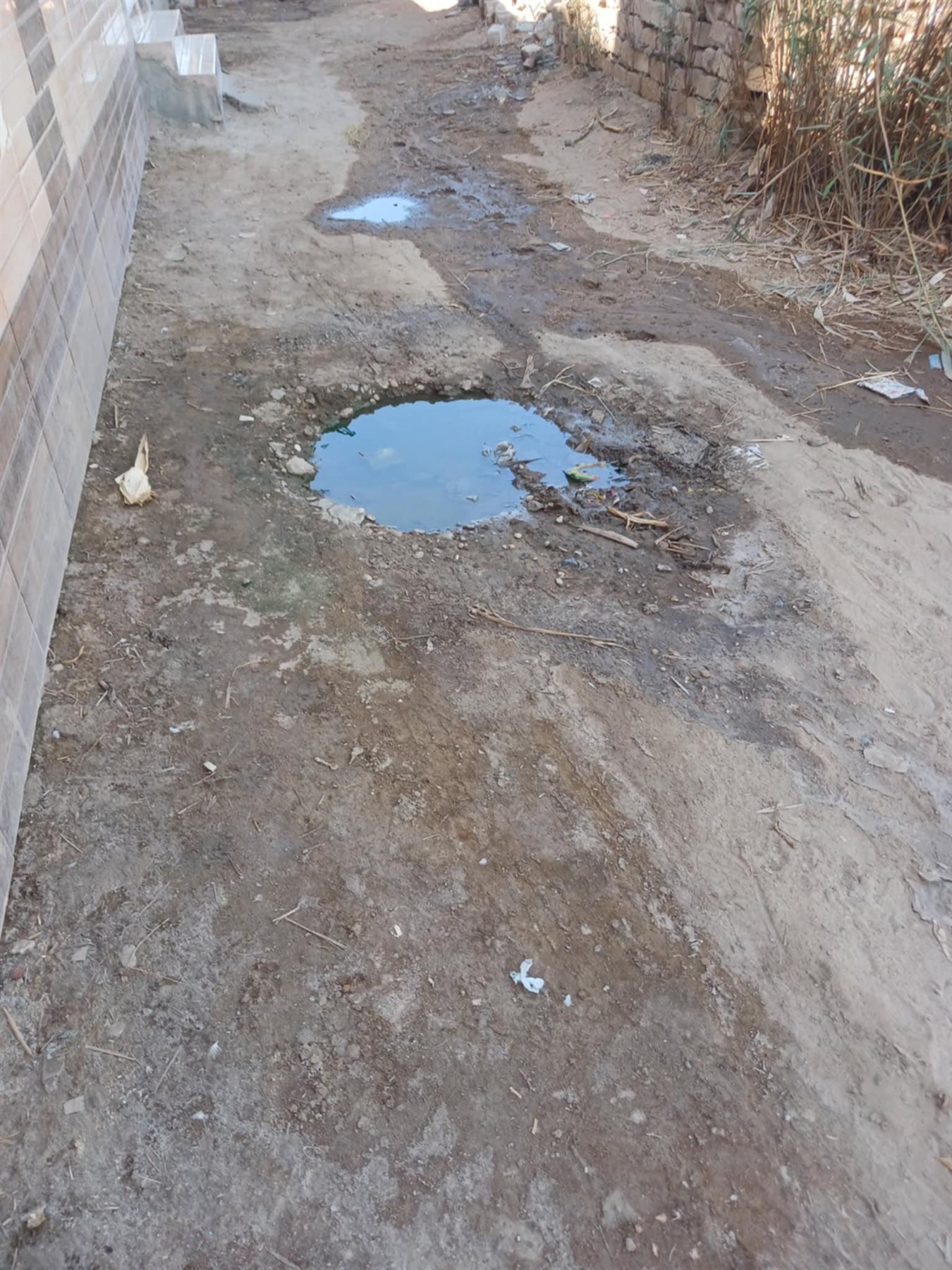 مياه الصرف الصحي تغرق منازل وشوارع دست الأشراف في البحيرة