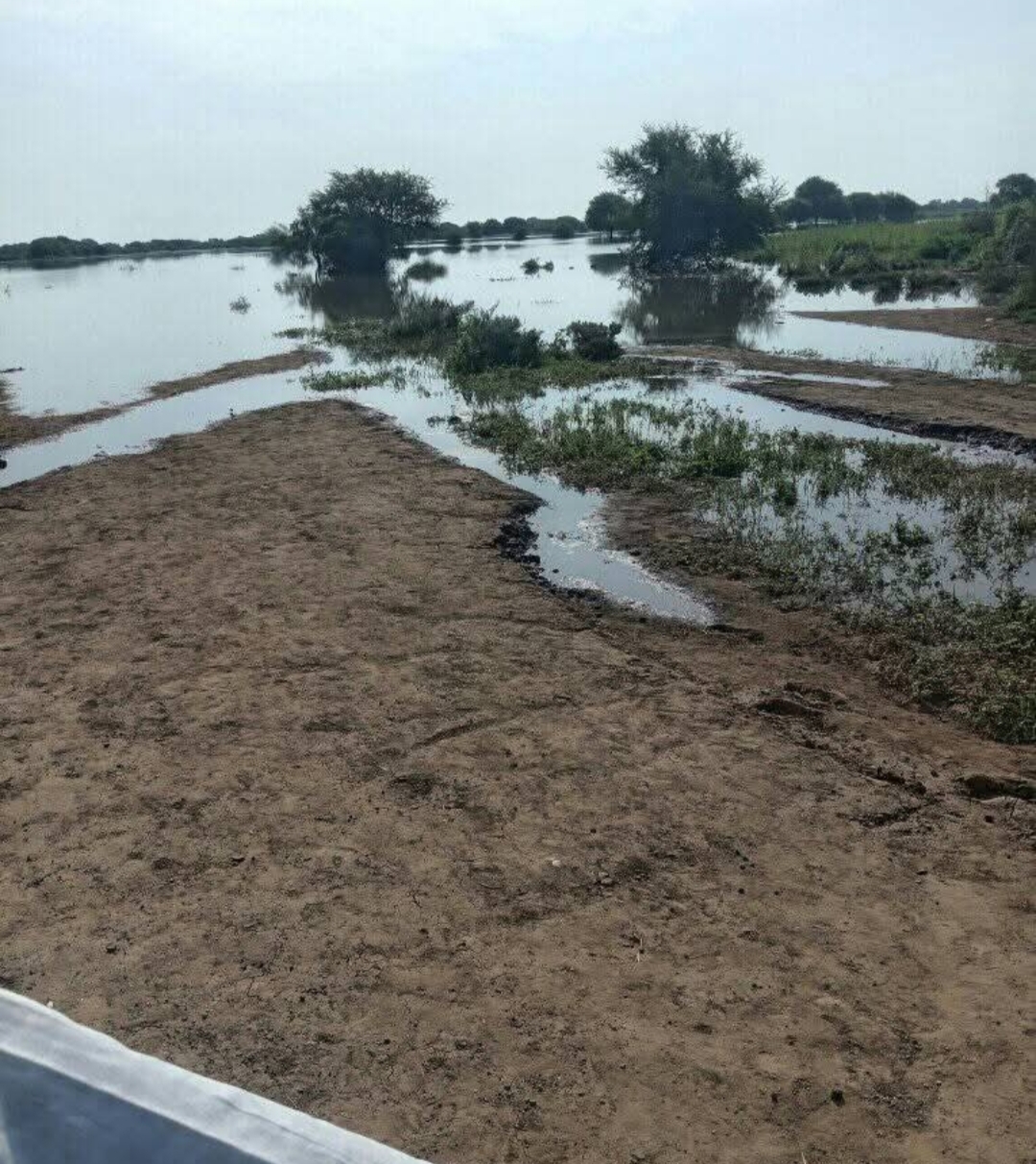 عاجل هل تهدد فيضانات السودان مدن وقرى مصر؟ خبراء يكشفون