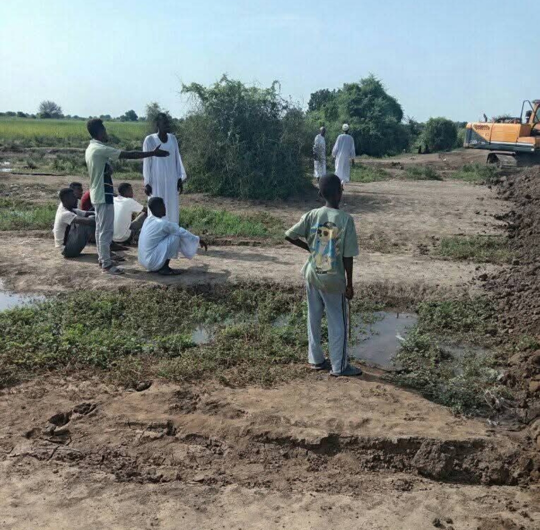 عاجل هل تهدد فيضانات السودان مدن وقرى مصر؟ خبراء يكشفون