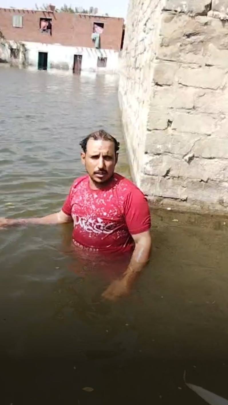 عاجل رغم تحذيرات الحكومة.. غرق أراضي ومنازل طرح النهر بالمنوفية (صور)