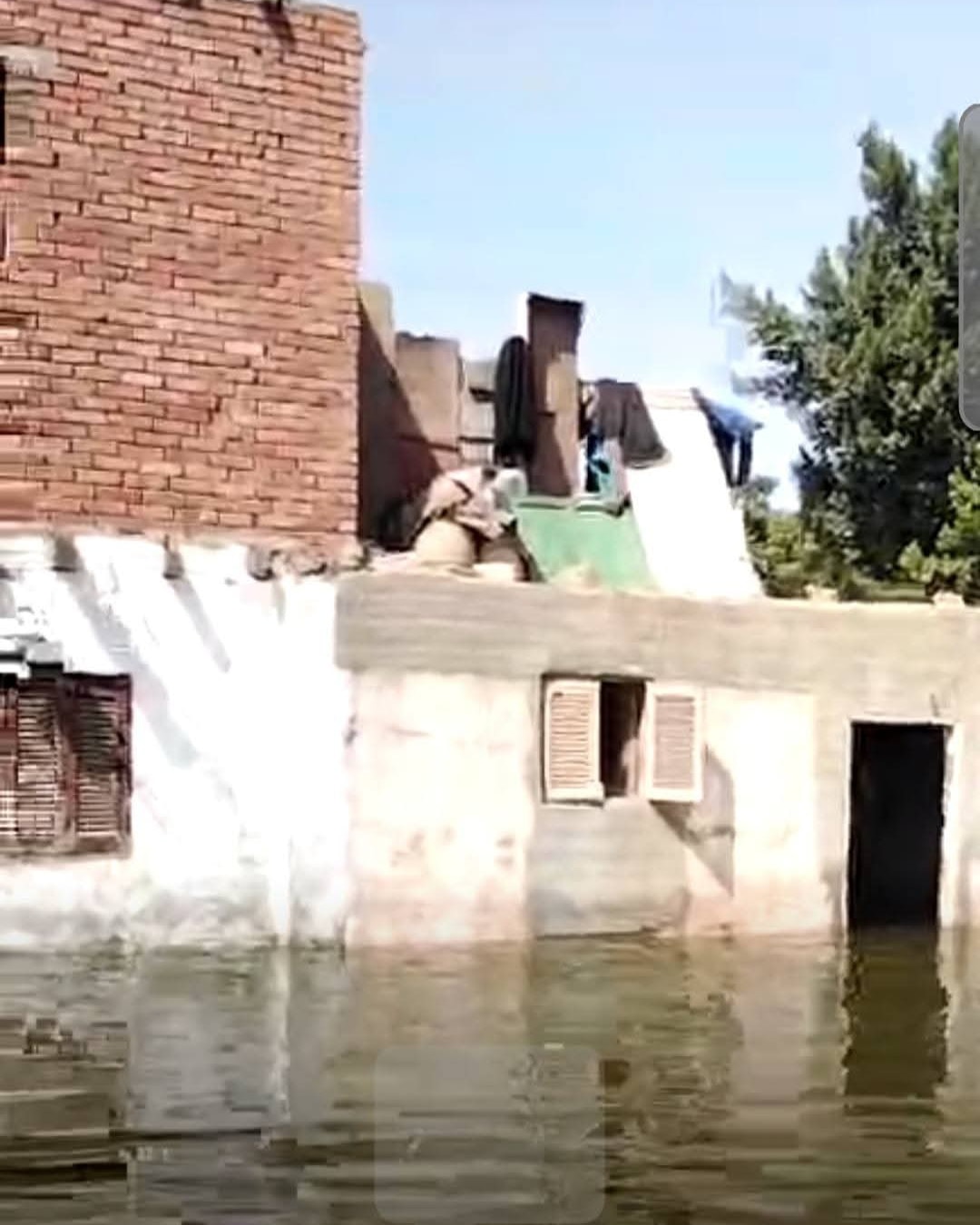 عاجل رغم تحذيرات الحكومة.. غرق أراضي ومنازل طرح النهر بالمنوفية (صور)