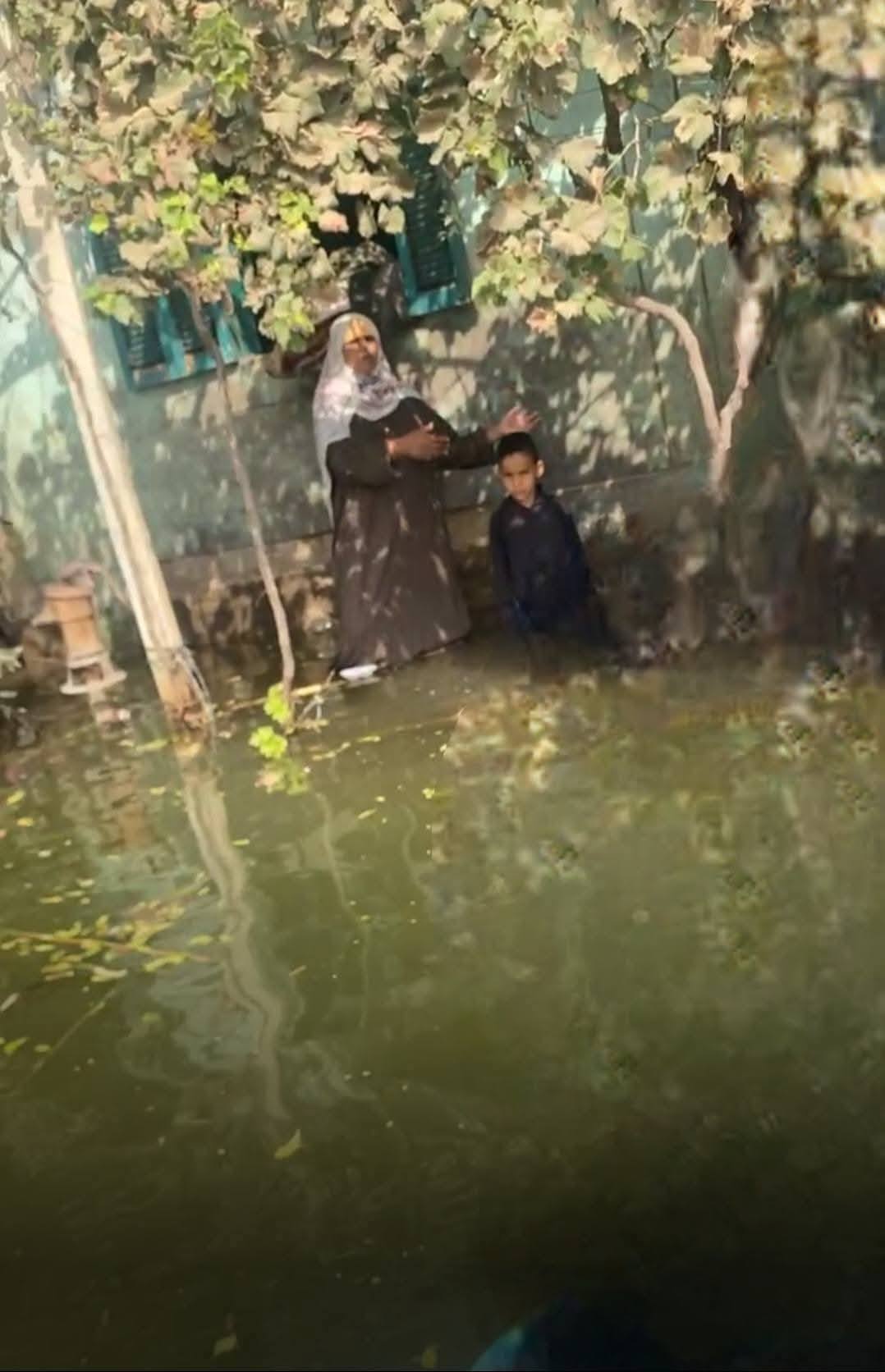 عاجل رغم تحذيرات الحكومة.. غرق أراضي ومنازل طرح النهر بالمنوفية (صور)