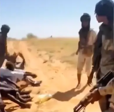 صور وفيديو معارك طاحنة وإعدامات ونهب وسرقة.. ماذا يحدث في مدينة الفاشر بالسودان؟