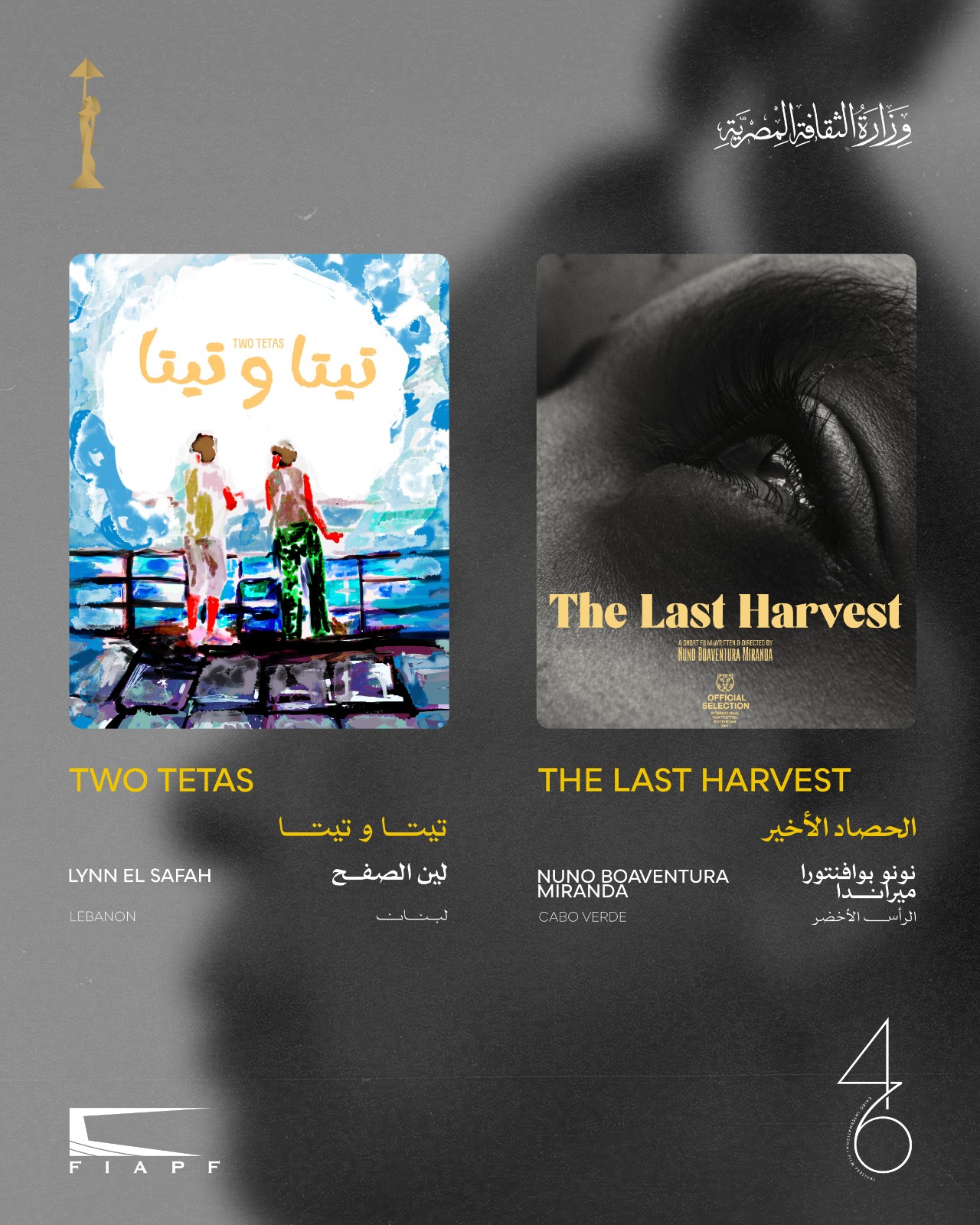 القائمة النهائية لمسابقة الأفلام القصيرة بمهرجان القاهرة السينمائي في دورته الـ46