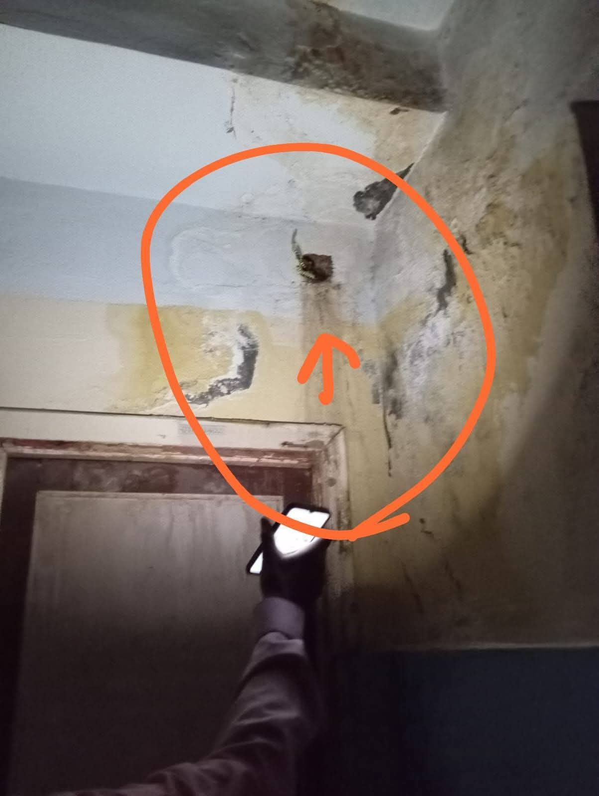 أولياء أمور مدرسة عمر بن عبدالعزيز يطالبوا بتأجيل الامتحانات الشهرية.. اعرف السبب