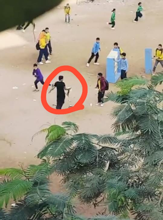 بسبب قطة ميته.. فصل 4 طلاب ومجازاة مدير مدرسة و3 مسئولين بالجيزة