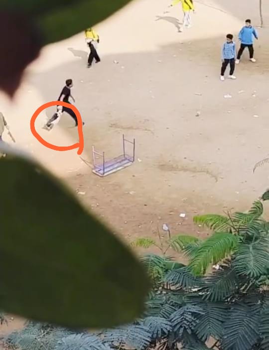 بسبب قطة ميته.. فصل 4 طلاب ومجازاة مدير مدرسة و3 مسئولين بالجيزة