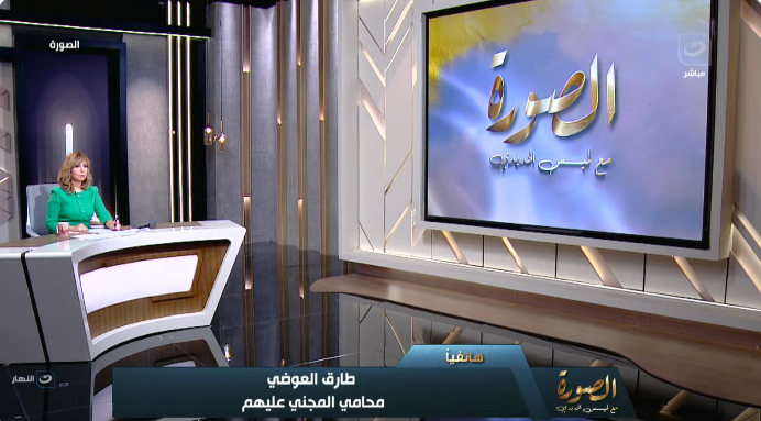 طارق العوضي: المتهم في قضية أطفال الإسكندرية أنكر وقال بحبهم زي أولادي فيديو