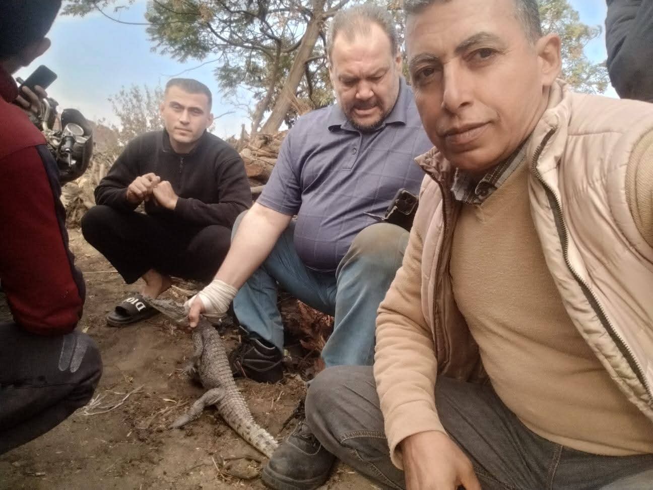 عمره لا يتجاوز العامين.. الإمساك بتمساح مصرف قرية الزوامل بالشرقية (صور)