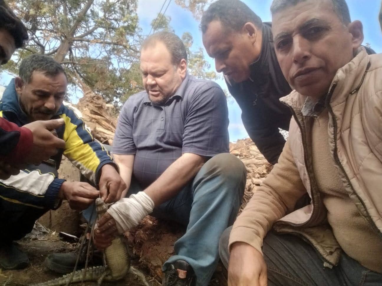 عمره لا يتجاوز العامين.. الإمساك بتمساح مصرف قرية الزوامل بالشرقية (صور)