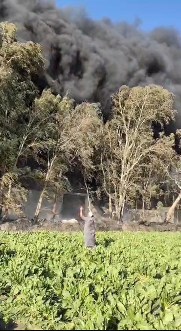 مشاهد من الحريق