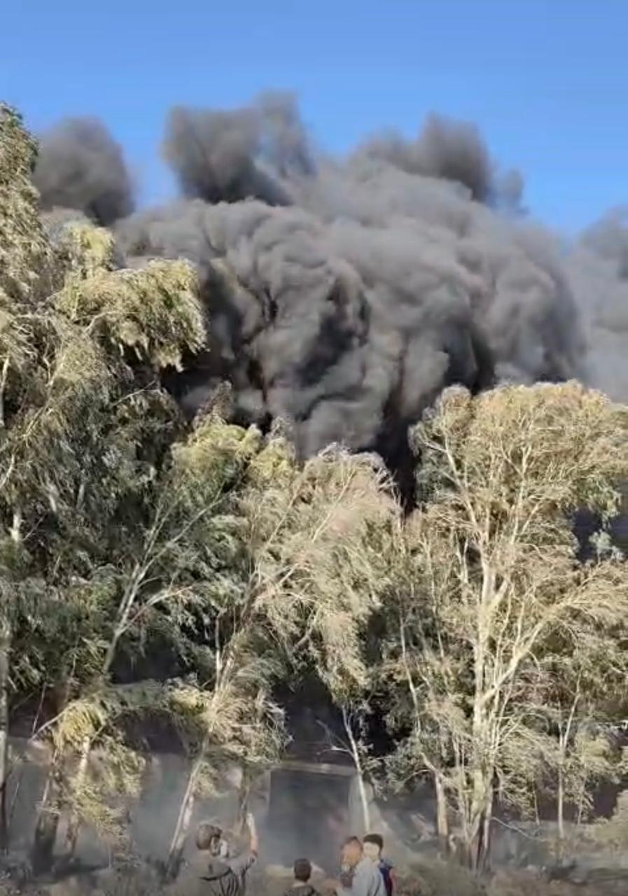 مشاهد من الحريق