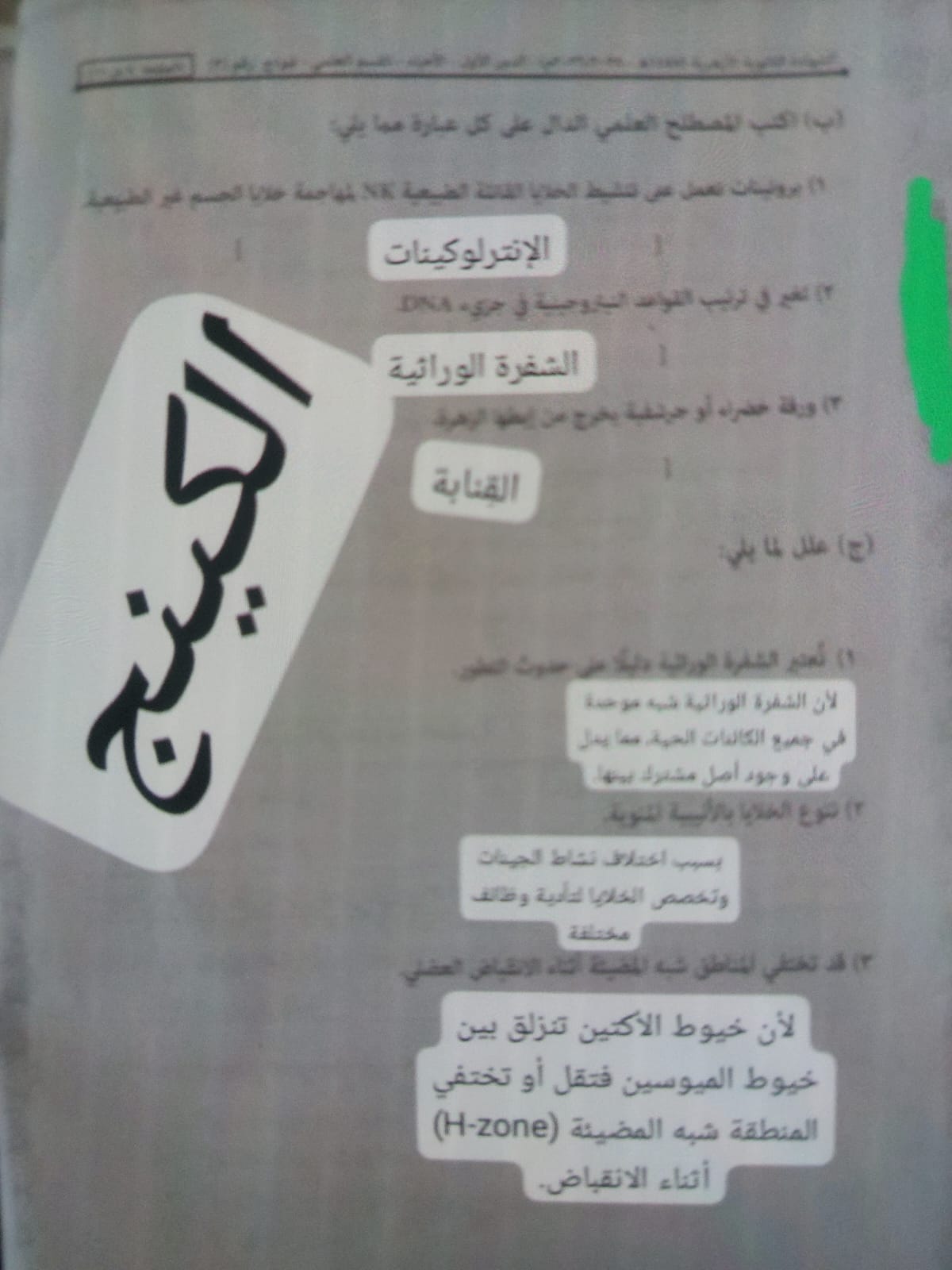 حل امتحان احياء تالته ثانوي أزهر شعبة علمي 2026