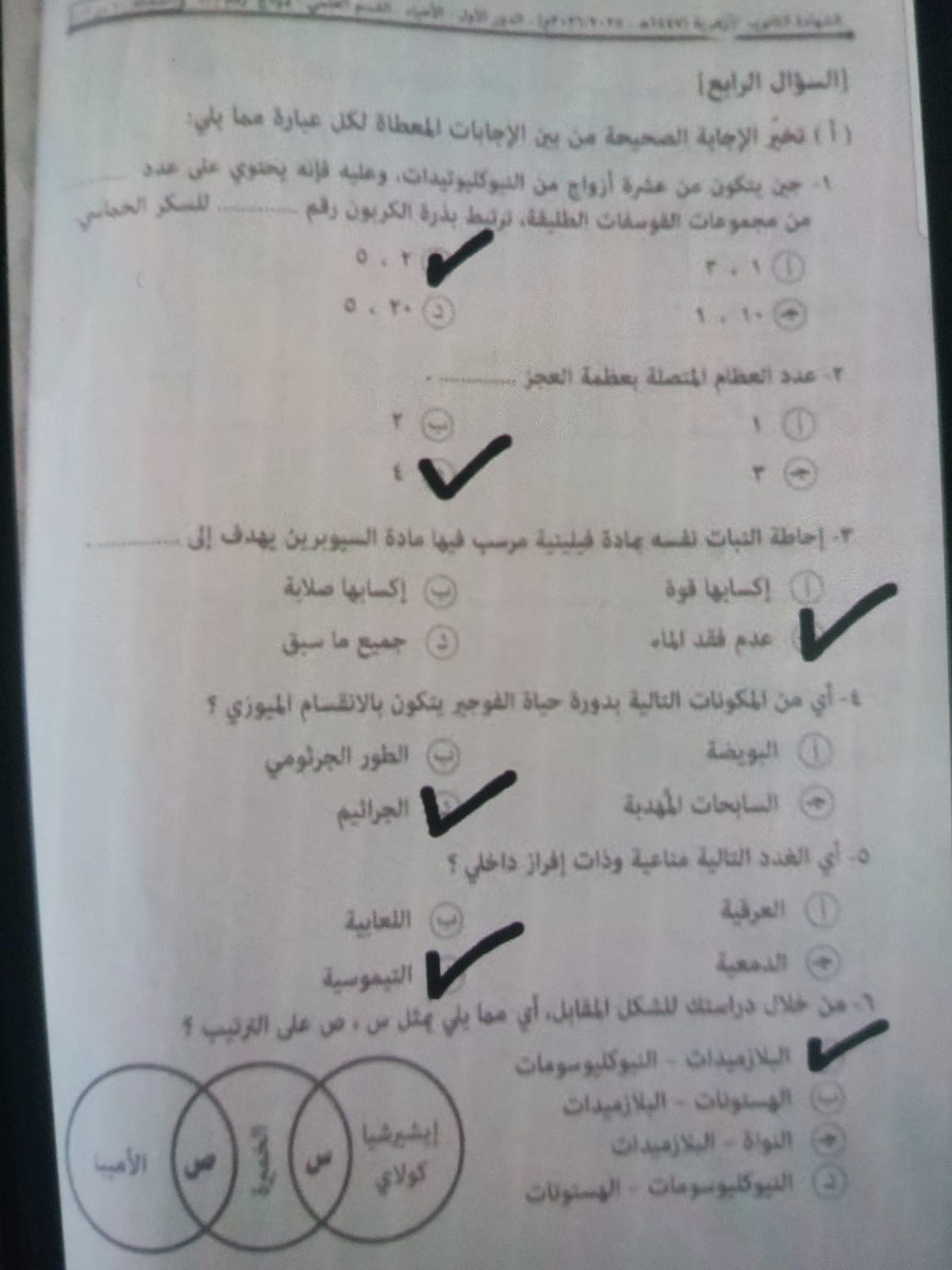 حل امتحان احياء تالته ثانوي أزهر شعبة علمي 2026