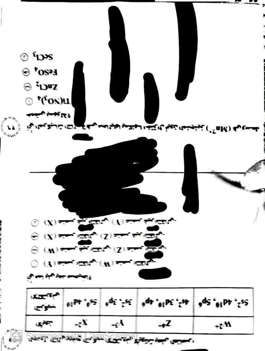 736142182_1726474021996367_7832454129469989430_n
