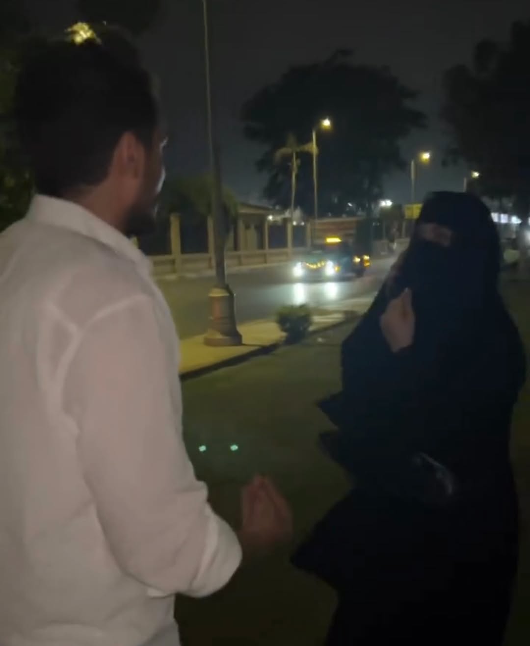 فيديو زوجة تضبط زوجها مع فتيات ليل في حديقة بالإسماعيلية