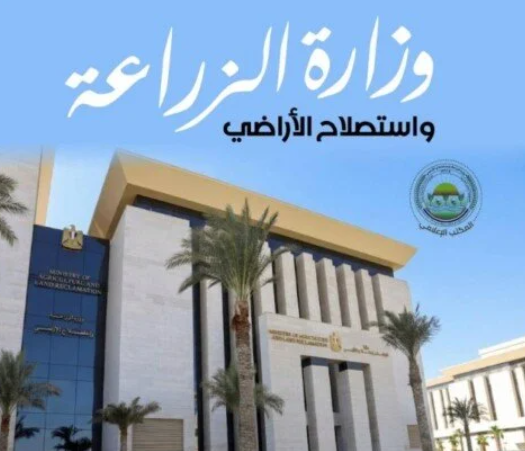 السمن والعسل وزيت الزيتون تحت التحذير.. الزراعة تكشف حقيقة الصفحات المنتشرة