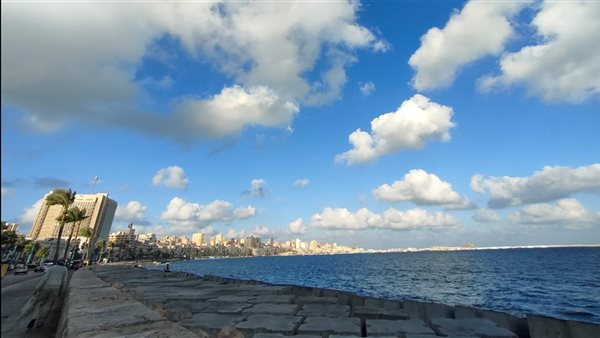 الرئيس نيوز