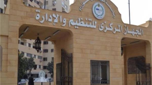 التنظيم والإدارة