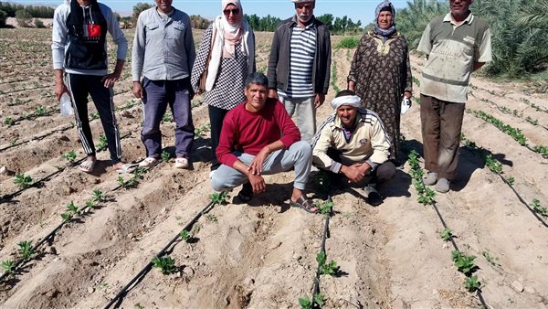 أراضى زراعية 