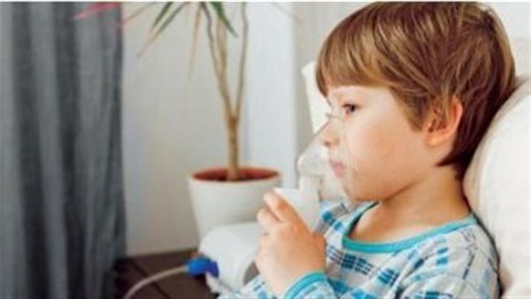 الرئيس نيوز