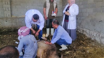 قوافل بيطرية 