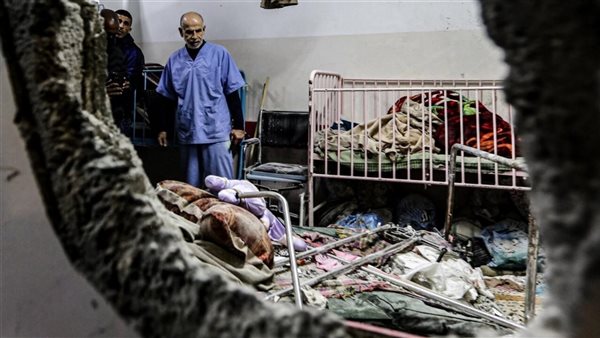 الرئيس نيوز